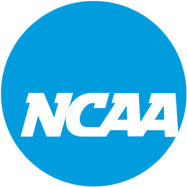 Hockey league or team logo
