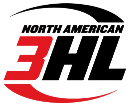 Hockey league or team logo