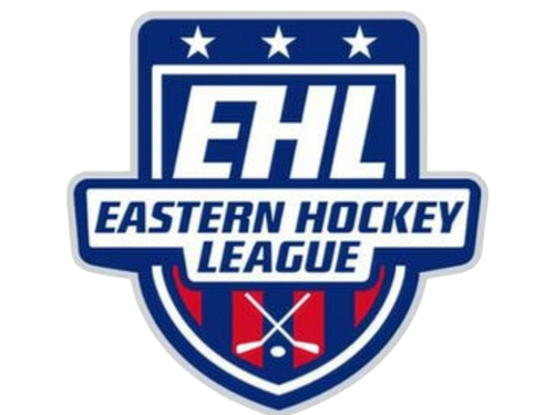 Hockey league or team logo