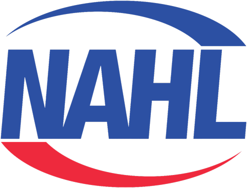 Hockey league or team logo
