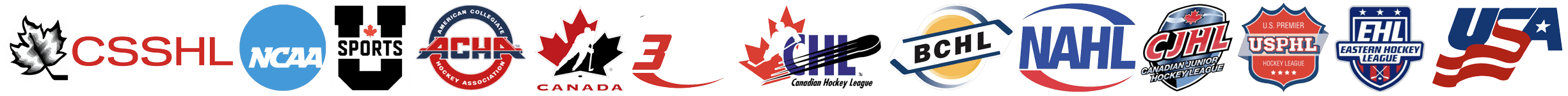 Logos of hockey leagues and teams Align Hockey works with
