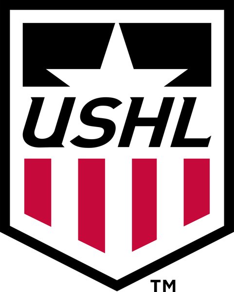Hockey league or team logo